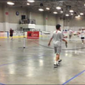 2018 Pickleball Fever in the Zoo/Great Lakes Regional - Mens Doubles 5.0...