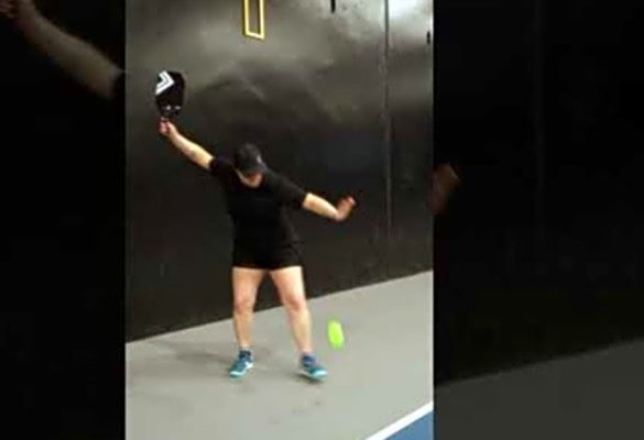 Enhance Pickleball Skills &amp; Drills with LUXE Paddle#pickleball