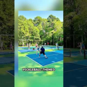 What Goes Into Designing Pickleball Court Art Installations for Public S...