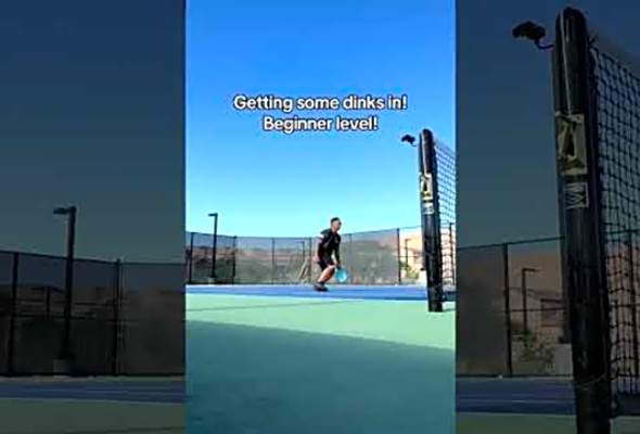 Mastering Pickleball Highlights