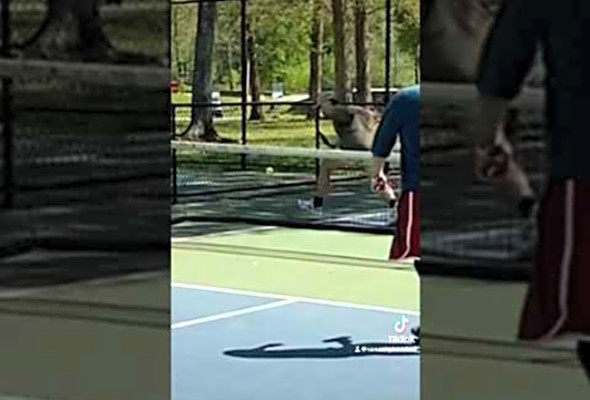 Banger of an ATP #pickleball #pickleballhighlights #pickleballatp