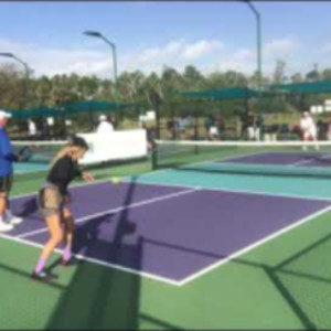 1/8/21 Punta Gorda Mixed 1