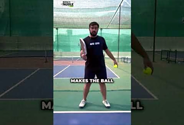 Master the third shot dropGoosepickleball s got you. #Pickleball #Paddle #PickleballIndia