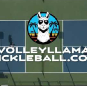 IS PICKLEBALL A GOOD SPORT FOR EXERCISE - PICKLEBALL QUESTION 11 - VOLLE...