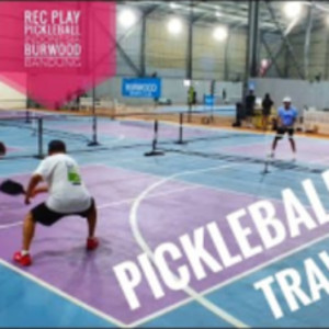 REC PLAY PICKLEBALL TRAVELER - Bardan-Anto v Bastian-HermanH #pickleball...