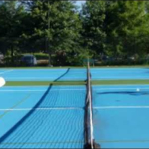 Pickleball Forehand Cross Court Dink and Volley Dink Practice, Ann Carne...