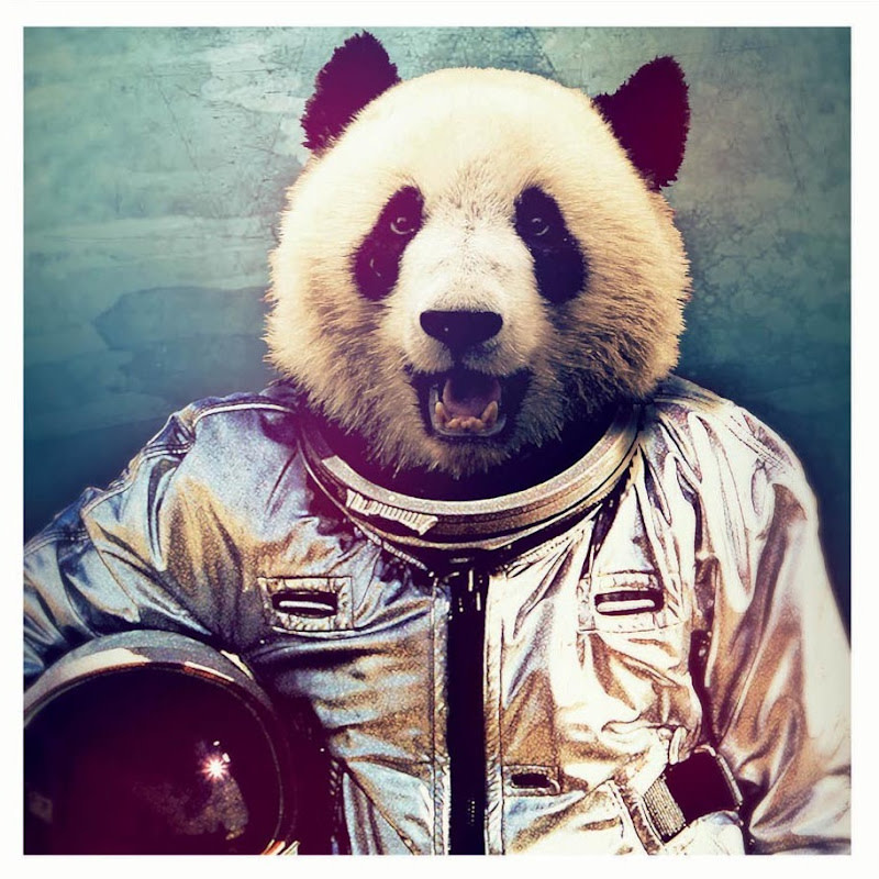 A Space Panda