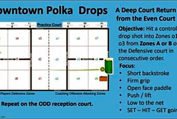 Drop Shot Pickleball - Downtown and Bus Stop Polka Drop
