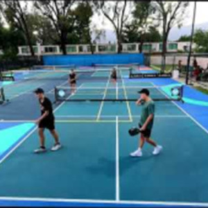 Bad Pickleball Pro Level Rec 6.0 Lacy Schneemann Rianna Valdes Erik Pail...