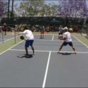 2017 Pickleball Tournament May Mayhem MD 5.0 Steve Dawson/Warnick vs. Co...