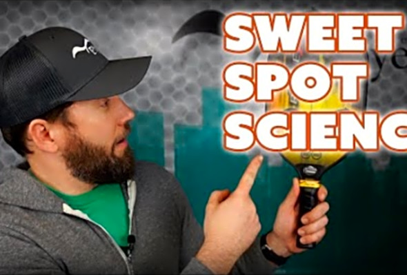 Pickleball Paddle Sweet Spot Science