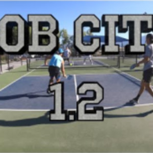 Lob City 1.2 - Pickleball Pro&#039;s vs 4.5/3.5 - Only Lobs!