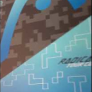 HEAD Radical Tour CO (Composite) Pickleball Paddle for 2020/21