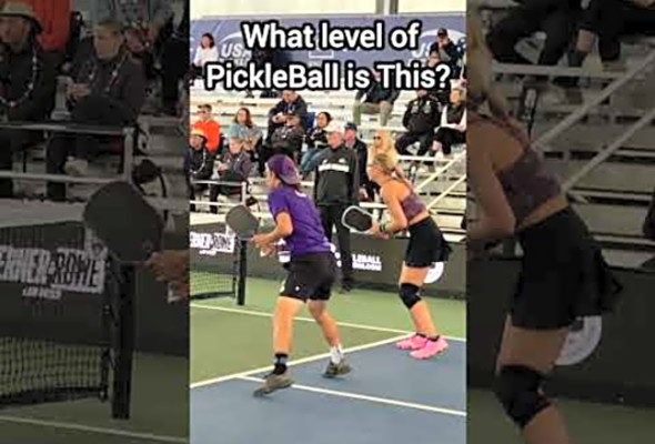 What level of pickleball are these guys?