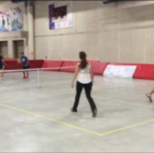 2016 Badger State Games Pickleball Championships - Mixed Doubles 4.0 - R...
