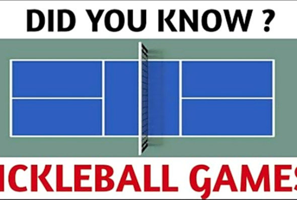 Pickleball the new probiotic for health - Pickleball in india