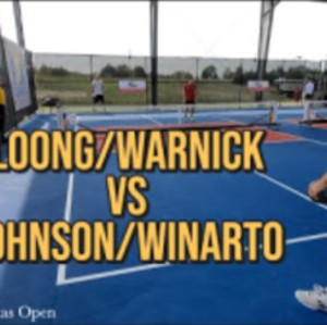 2020 PPA Texas Open Loong/Warnick vs Johnson/Winarto 1 game to 15