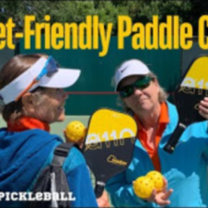 Is This Pickleball Paddle Good For Me?