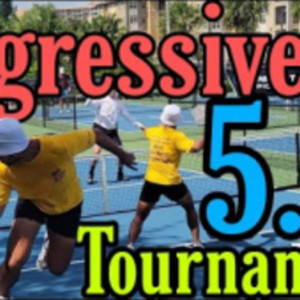 Aggressive 5.0 Pickleball Men&#039;s Doubles Paddle Tap Tournament