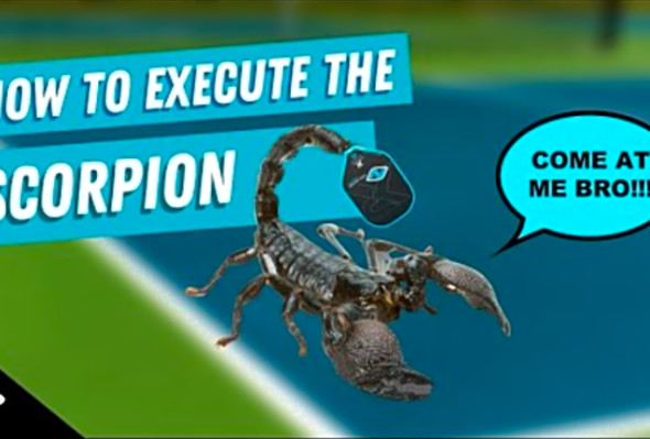 The Scorpion - How to Punish Pickleball Attacks