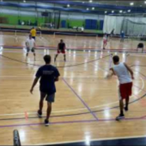 Pickleball Gold Medal Match - 4.0 19 Division - Shaw and Shaw vs. Elliot...