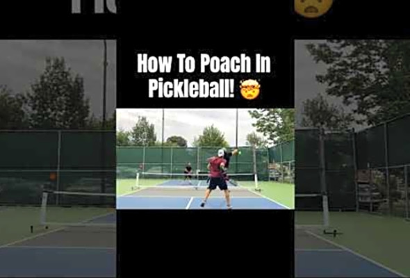 How To Poach In Pickleball! #pickleball #highlights #fyp #viral #shorts #reels