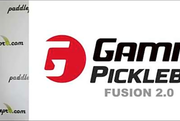 Paddlepro Paddle Reviews - Gamma Fusion 2.0 (Pickleball)