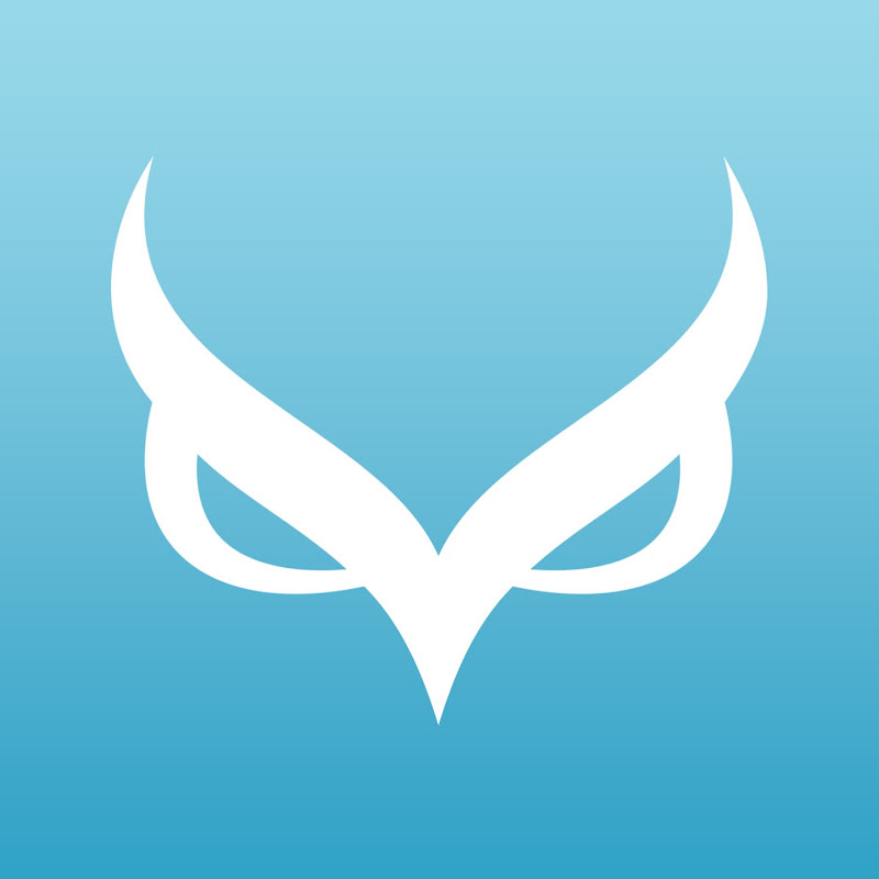 Owl Pickleball