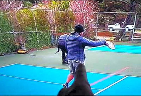 Pickleball -The major culprit to poor line calls is moving eyes.