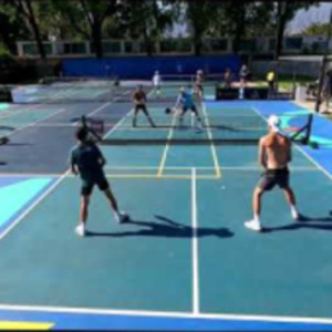 Bad Pickleball Pro Level Rec 6.0 Collin Johns Jessie Irvine Hayden Patri...