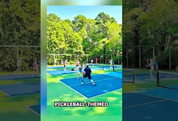 What Goes Into Designing Pickleball Court Art Installations for Public Spaces?