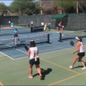 NP Celebrity Tanning Open Pickleball Tournament: Womens Doubles