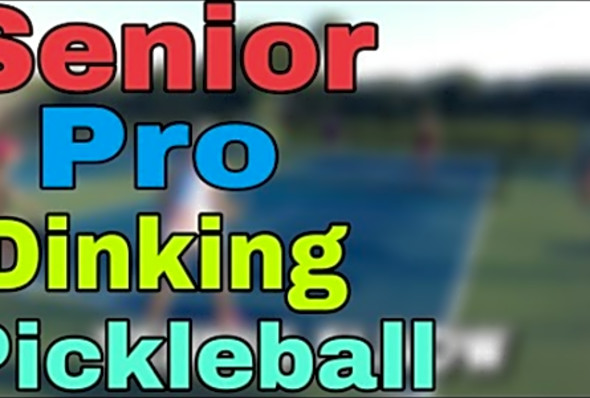 Playing with Senior Pros Pickleball Men&#039;s Doubles Rec Game