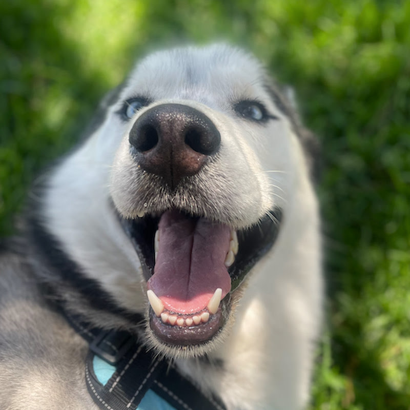 MyBoyMarble
