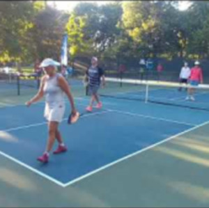 Labor Day in the Park Round Robin Pickleball tournament, MXD Open, Parti...