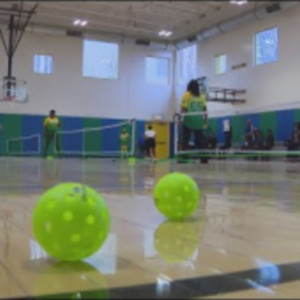 Veterans hit the court for pickleball tournament at Ellis Park