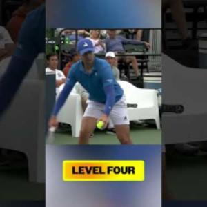 The levels of pickleball difficulty...