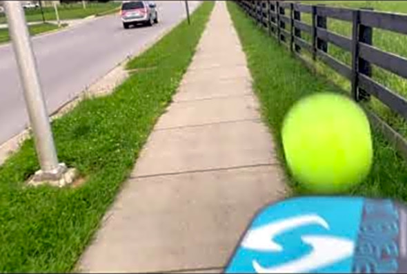 A KENTUCKY WALK...PICKLEBALL STYLE