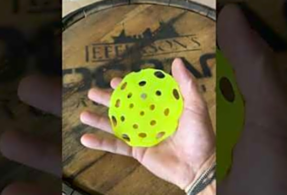 What Can You Do with Old Pickleballs? Save a Seal! #shorts #pickleball #repurpose #recycle