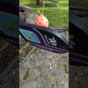 Pickleball Practice During the Coronavirus Pandemic
