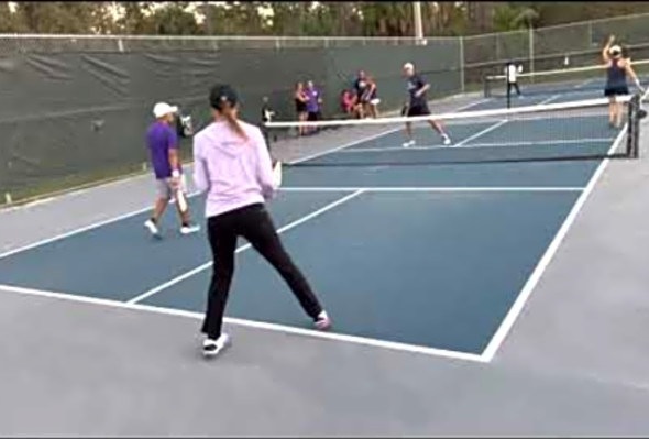 Viking Pickleball Co-Ed Team League(4.0) - Third Shot Droppers vs. Team PPT - Consolation Semis(1)