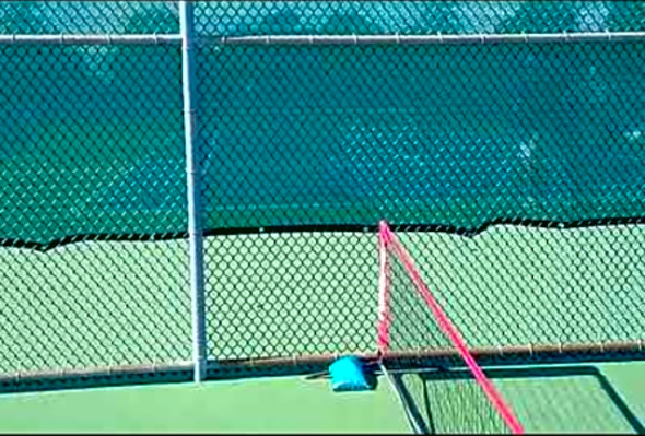 Covid19. . Pickleball: the fastest growing sport in the world. Autumn 2020- 4