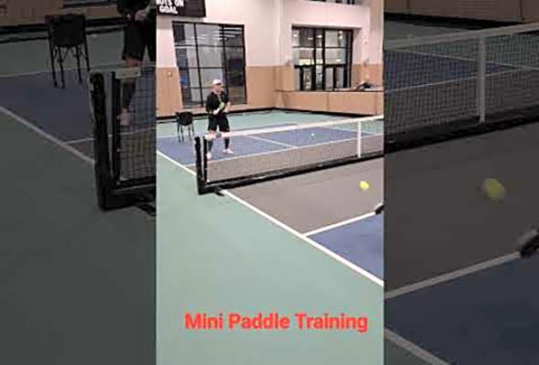 Mini Pickleball Paddle #pickleball #pickleballtips #hardwork #pickleballtips #traininghard #fun #yes