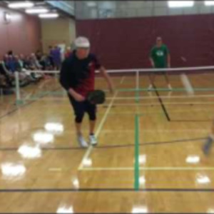 Palatine (IL) Pickleball Tournament - Advanced Men&#039;s Doubles - Gold Meda...