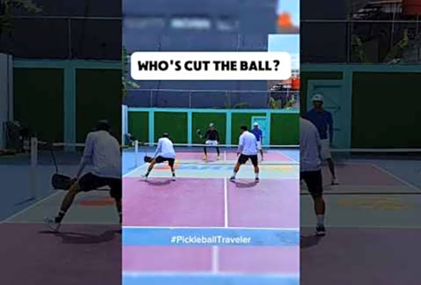 WHO&#039;S HIT THE BALL? #pickleball #shorts #viral
