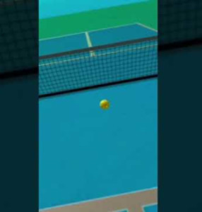 Pickleball: The Road to 5.0 - VR Pickleball Training App