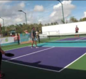 2019 World Pickleball Championships Irina Tereschenko/Joey Farias VS Rob...