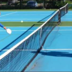 Pickleball Backhand Topspin Shots: Dink, Dink Volley, Roll, Drive