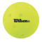 2 Minute Pickleball