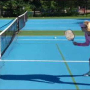 Pickleball Topspin Backhand Cross Court Dink Practice, Ann Carney with Toui